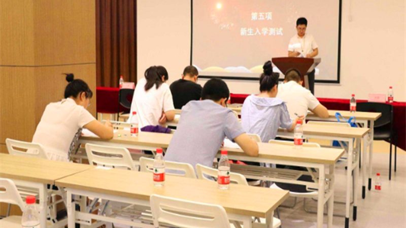 少儿编程入门教材十大品牌